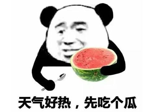 吃瓜表情的意思是什么